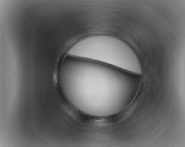 X0000115510068200911061011