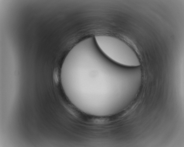 X0000115510069200911061011