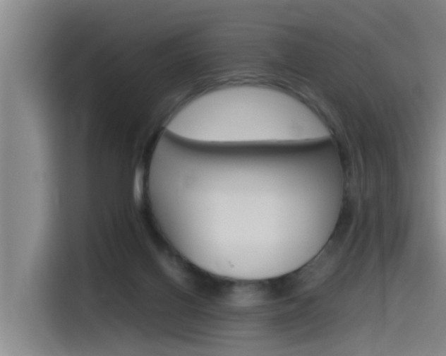 X0000115510070200911061011