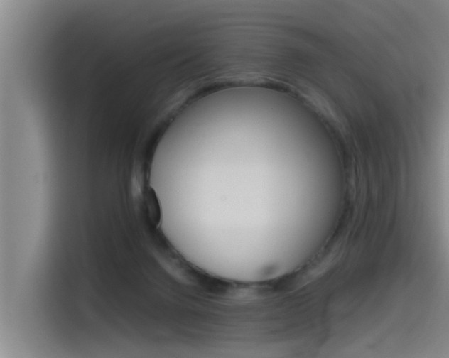 X0000115510072200911061011