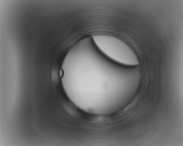 X0000115510074200911061011