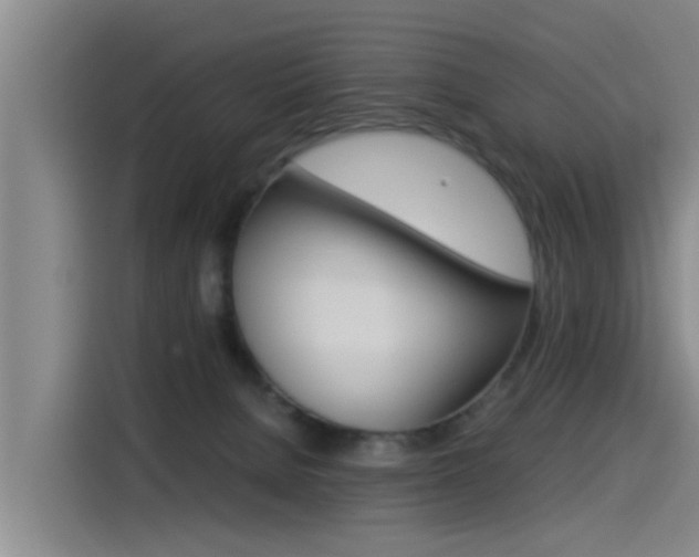 X0000115510080200911061011
