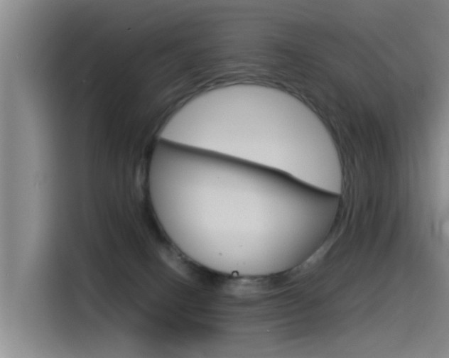 X0000115510082200911061011