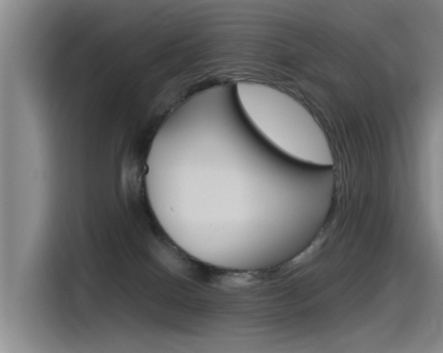 X0000115510086200911061011