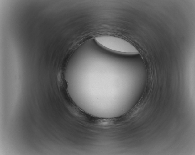 X0000115510088200911061011
