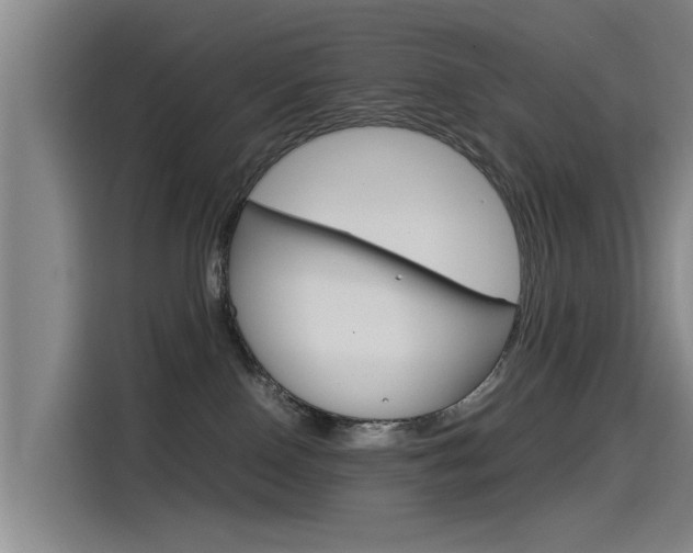 X0000115510090200911061012