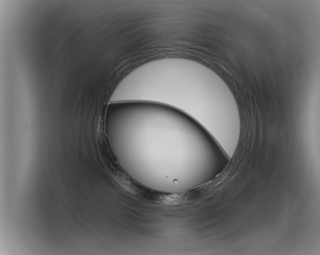 X0000115510092200911061012