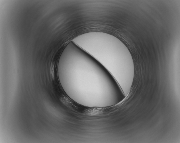 X0000115510094200911061012