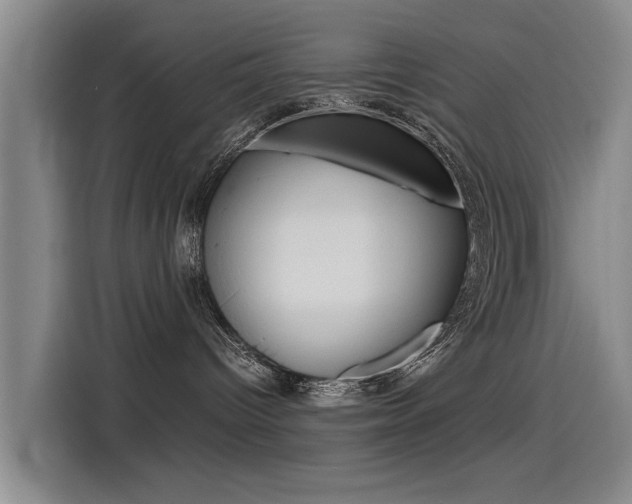 X0000115510096200911061012