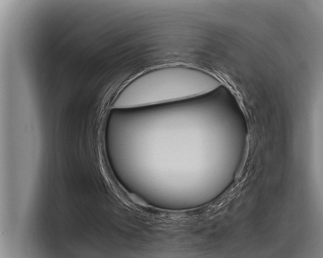 X0000115510097200911061011