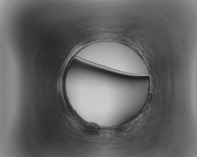 X0000115510099200911061011