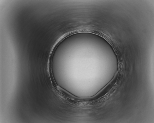 X0000115510100200911061011