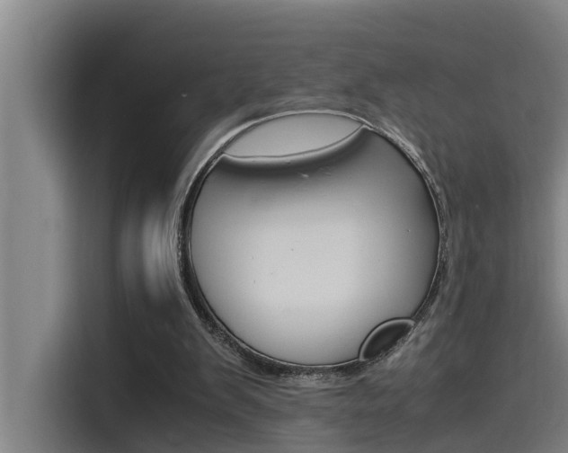 X0000115510103200911061011