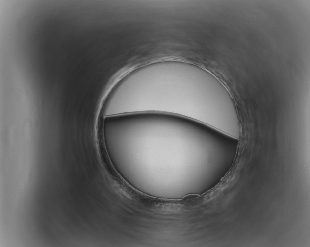 X0000115510104200911061011
