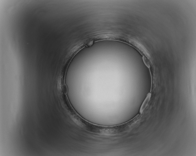X0000115510105200911061011