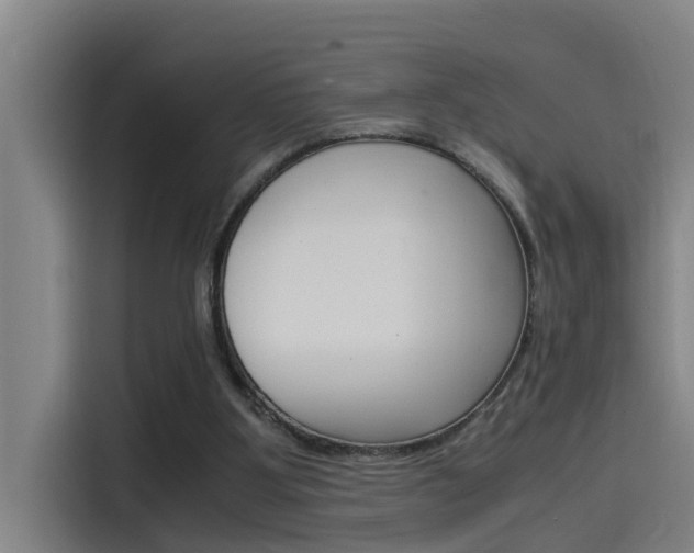X0000115510107200911061011