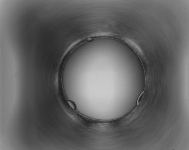 X0000115510108200911061011