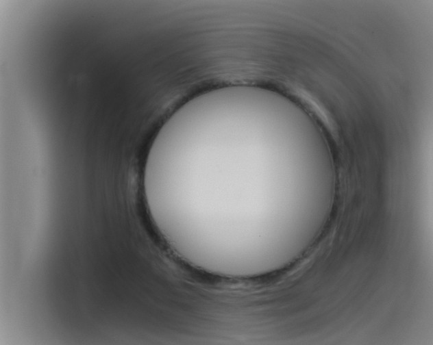 X0000115510113200911061011