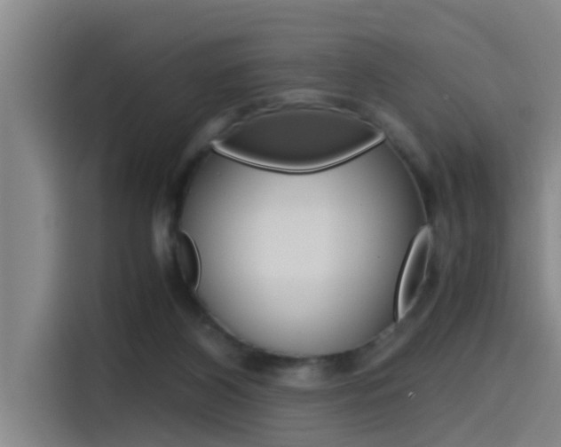 X0000115510116200911061011