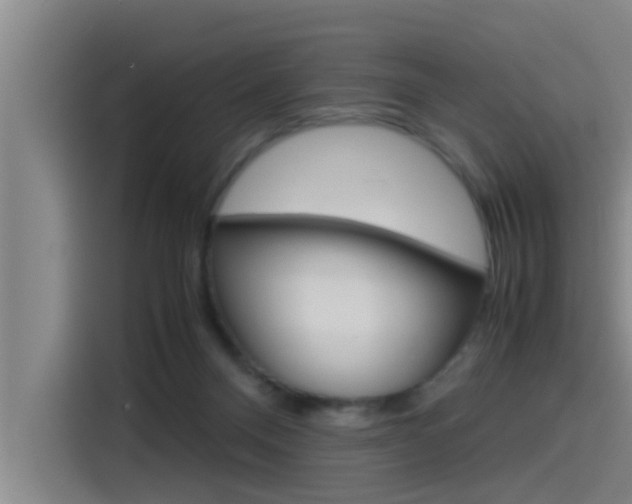 X0000115510120200911061011