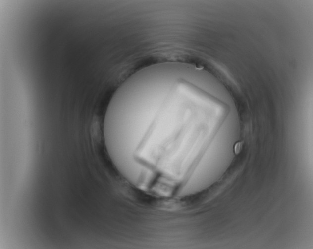 X0000115510121200911061011