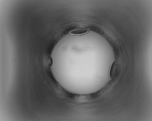 X0000115510129200911061011
