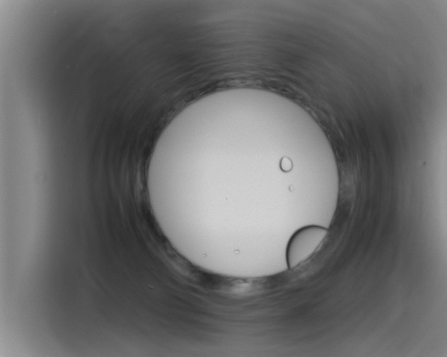 X0000115510130200911061011