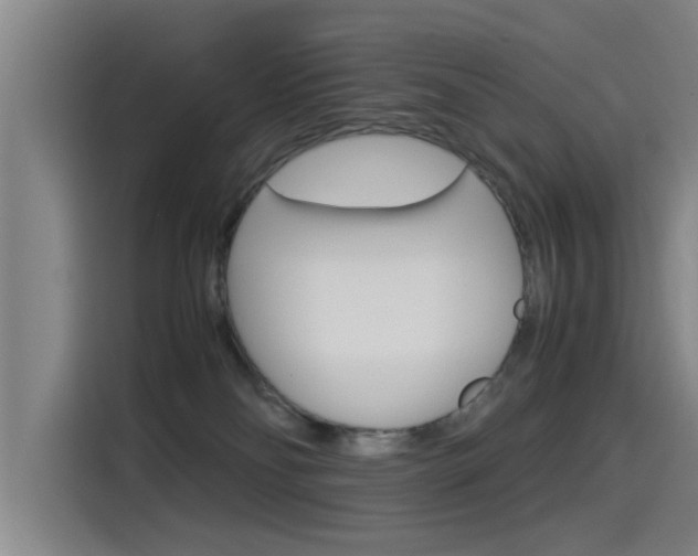 X0000115510134200911061010