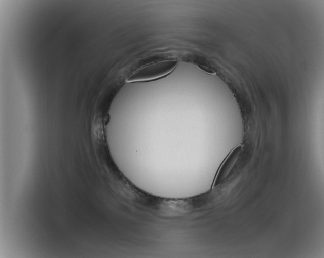 X0000115510137200911061010