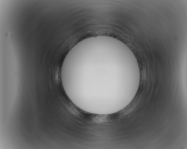 X0000115510138200911061010