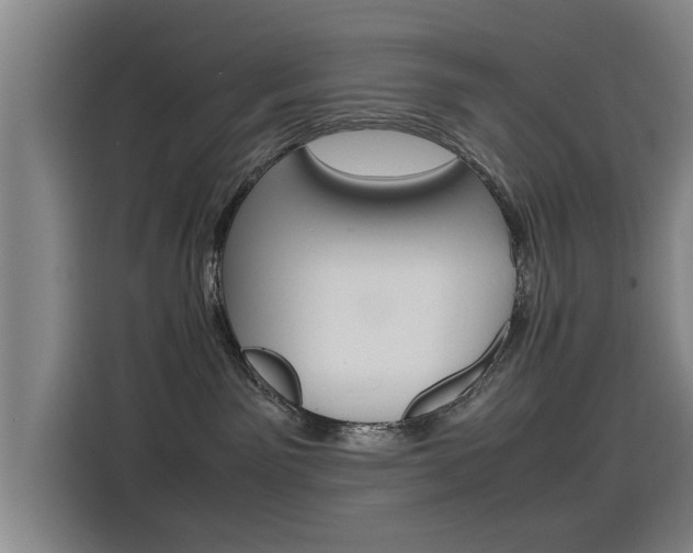 X0000115510141200911061010