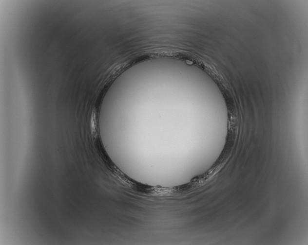 X0000115510143200911061010