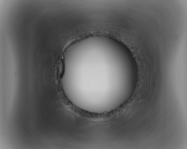 X0000115510144200911061010