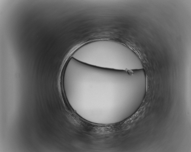 X0000115510147200911061010