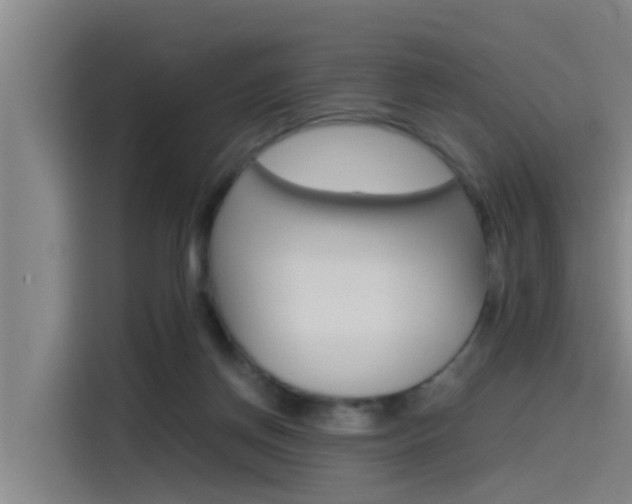 X0000115510166200911061010