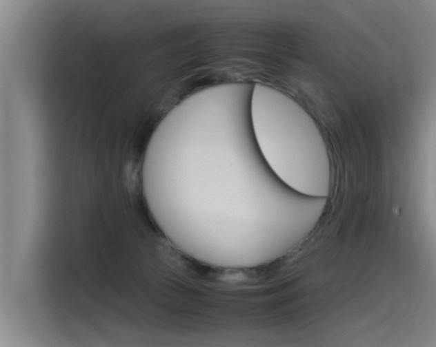 X0000115510177200911061010