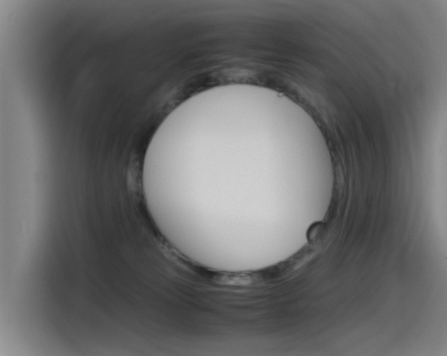 X0000115510181200911061010