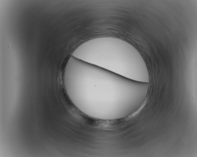 X0000115510182200911061010