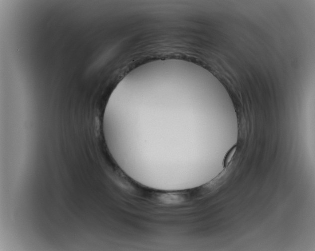 X0000115510183200911061010