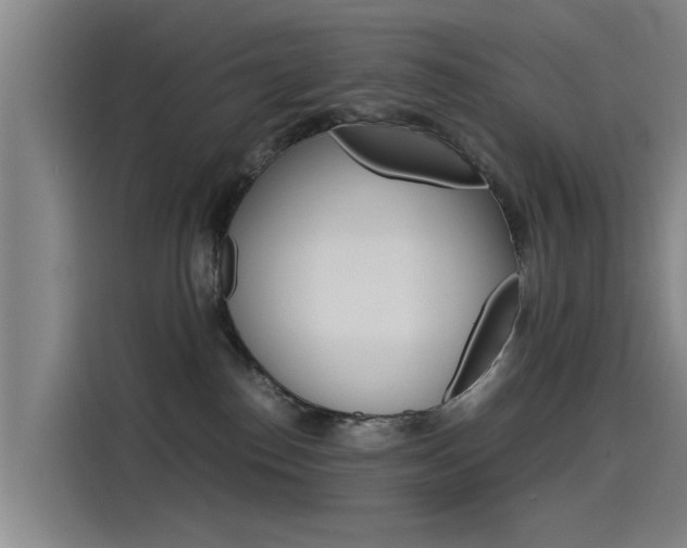 X0000115510186200911061010