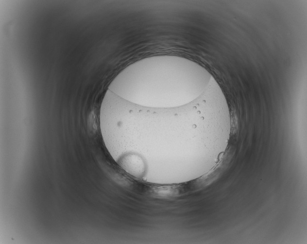 X0000115510187200911061010