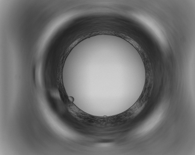 X0000115510189200911061010
