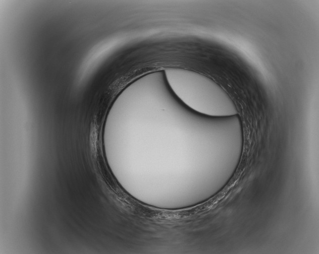 X0000115510194200911061010
