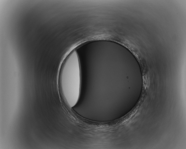 X0000115510196200911061010
