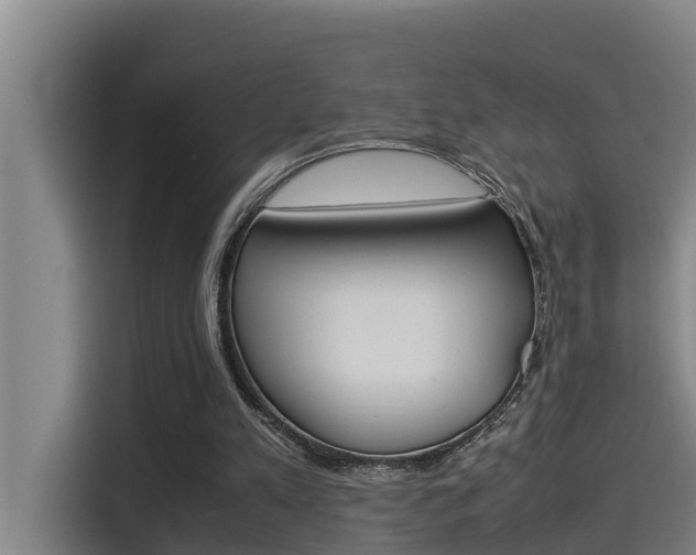 X0000115510197200911061010