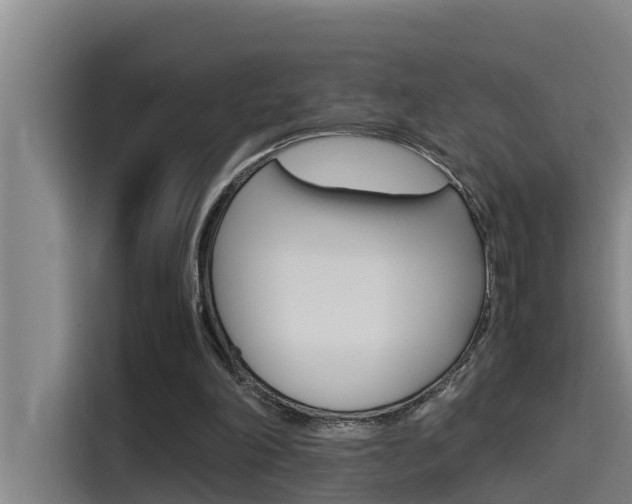 X0000115510198200911061010