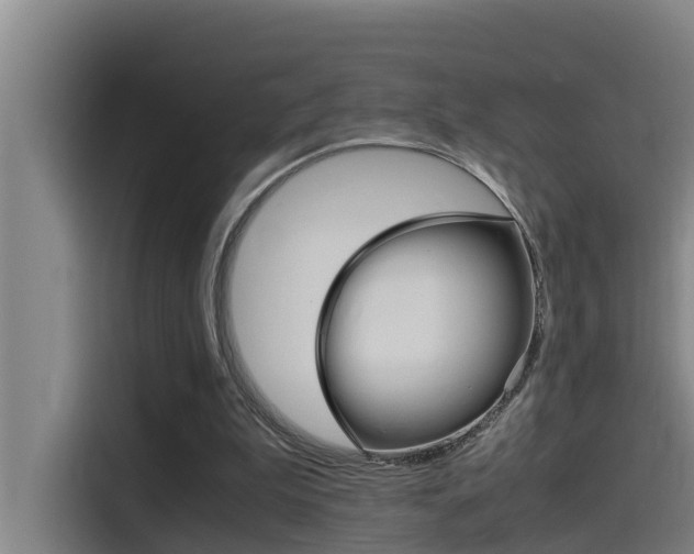 X0000115510199200911061010