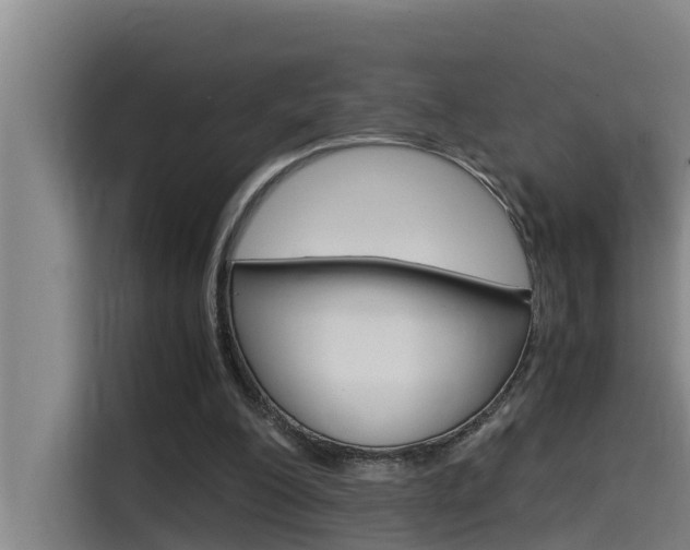 X0000115510200200911061010