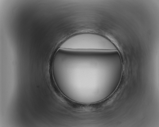 X0000115510201200911061010
