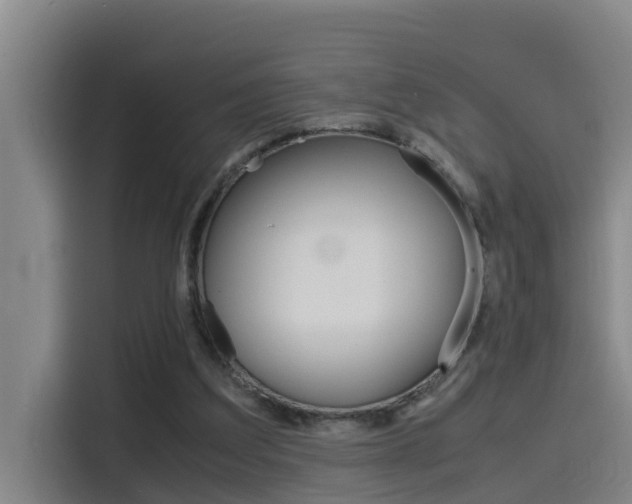 X0000115510203200911061010